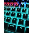 n11 Review