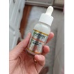 n11 Review