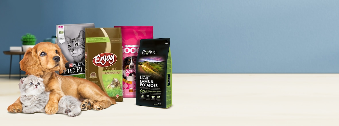 evcil hayvan mamalar