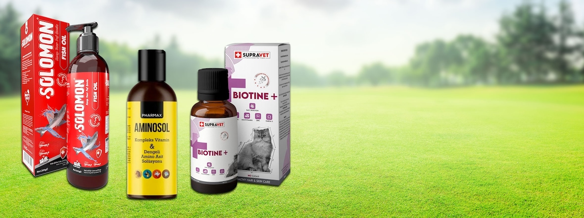 evcil hayvan vitamin sağlık