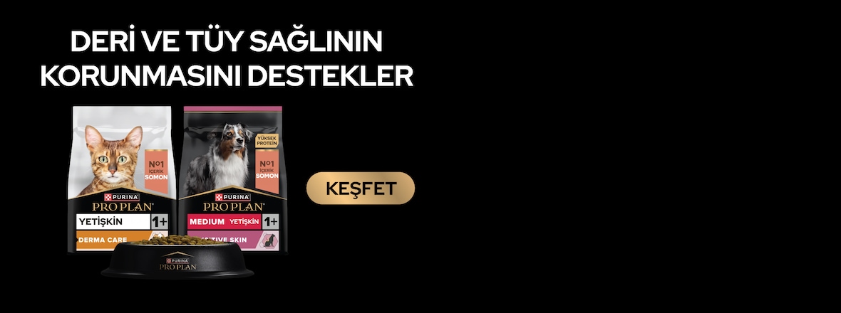 Destekleyen Ürünlerini Keşfedin