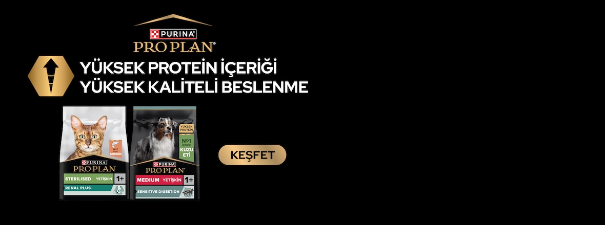 PRO PLAN Ürünlerini Keşfet