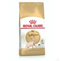 32840847 - Royal Canin Adult Sphynx Yetişkin Kedi Maması 2 KG - n11pro.com