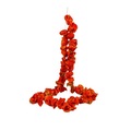 81039895 - Hatay Kuru Dolmalık Biber 50 Adet - n11pro.com
