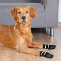 IMG-9008290036162996679 - Trixie Kaymaz Çizgili Desen Köpek Çorabı 2 Adet - n11pro.com