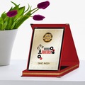 IMG-6710472404103386149 - Kişiye Özel Yılın En İyi Kontrol Mühendisi Kırmızı Plaket Ödülü - n11pro.com