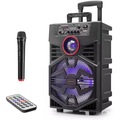 IMG-7961580841074528546 - Kimiso QS1341 El Mikrofonlu 30 Cm 30W Mini Müzik - n11pro.com