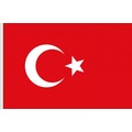 IMG-5567773447994589914 - Vatan 108 Türk Bayrağı 100X150 - n11pro.com