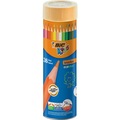IMG-660024882535048488 - Bic Kids Evolution Kuru Boya Kalemi 36'lı Metal Tüp - n11pro.com