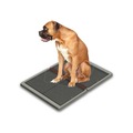 Ugodog Ikili Buyuk Kopek Seyyar Ev Tuvaleti Fiyatlari Ve Ozellikleri