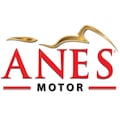 anesmotor