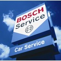 BOSCHOTOSAHİNLER