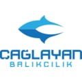çağlayanbalık