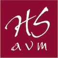 HobiSanatAVM