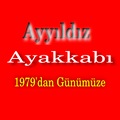 AyyıldızAVM