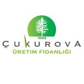 ÇukurovaFidanlığı