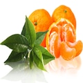 mandalina