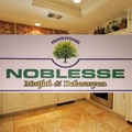 NOBLESSE_11022018170032213