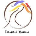 istanbulbonsai