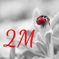 2MMEDİKAL