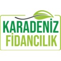 KaradenizFidancılık