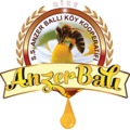 Anzerbalikooperatifi