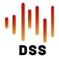 DSS