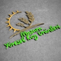 yöreselköyürünleri