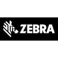 zebrateks