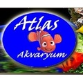 atlasakvaryum