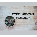 eyüpsultanbaharat