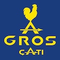 GrosÇatı