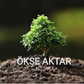 ÖkseAktar_25012021135838598