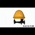 SesamGrup