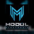 MODÜLELEKTRONİK