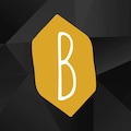 BCOVERART