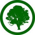 Kaokil