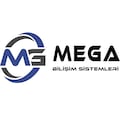 Megabilisim
