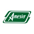 Amesia