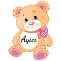 Ayıcı20