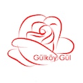GÜLKÖYGÜL