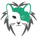 MIRMIRVET