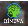 BİNEVA