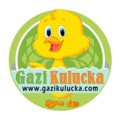 GaziKuluçka