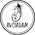 avciadam