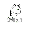 ZümrütŞaziye