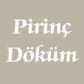 PrinçDöküm