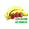 ecemorganik
