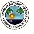 KERVANPEYZAJ
