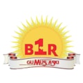 1gümüşaşkı